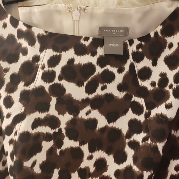 ANN TAYLOR Super Cute Leopard Print Dress - Picture 2 of 5